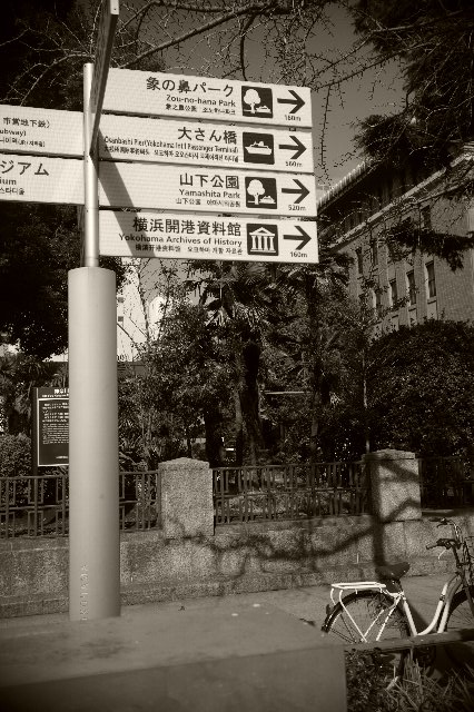 ɸ¼±