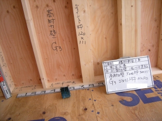 s-DSCN3374.jpg