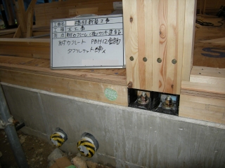 s-DSCN3384.jpg