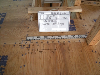 s-DSCN3389.jpg