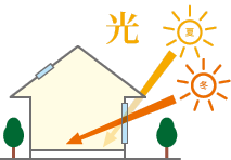 hikari