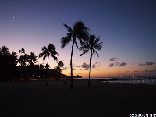 ※Waikiki Beach