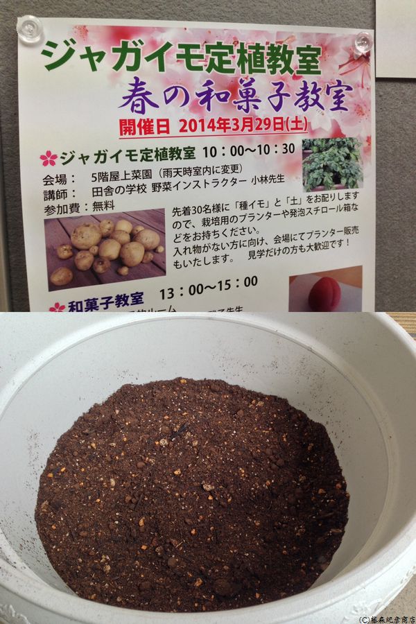 ※ジャガイモ きたあかり