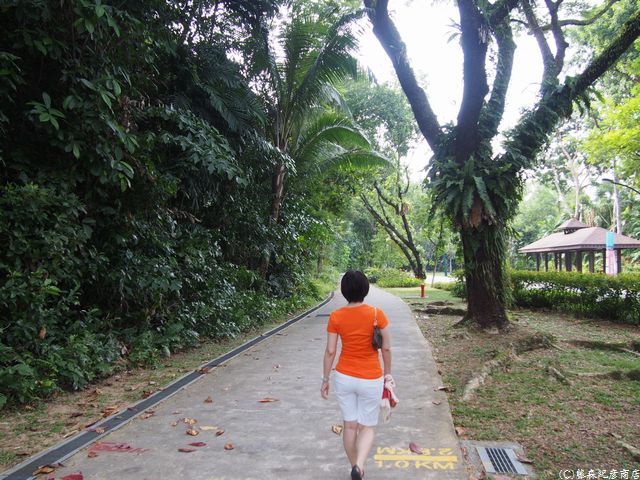 ¢¨THE SINGAPORE RESORT & SPA SENTOSA