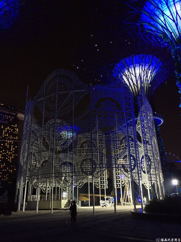 ※Gardens by the Bay