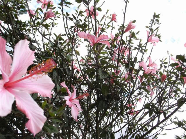 Parque de la Calorina 008