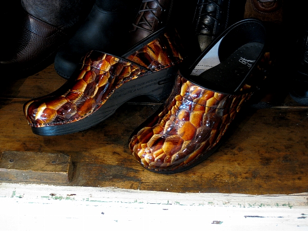 ダンスコ プロフェッショナル Dansko Professional