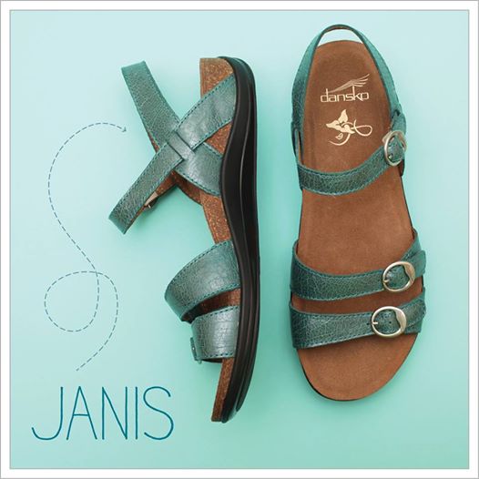 󥹥 ˥ Dansko Janis