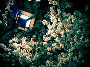 20130404blog.jpg