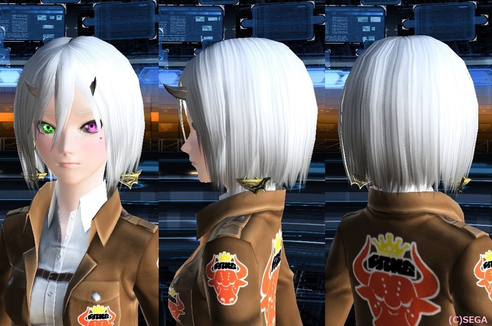 マキシマムアタックオンタイタン アクセサリー編 うさぎ系アークス Pso2