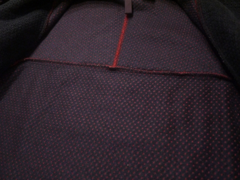 P1750938.JPG
