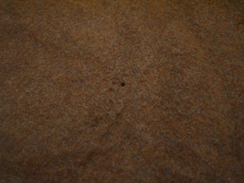 P2120183.JPG