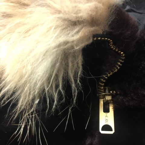 入荷_190118_0211.jpg