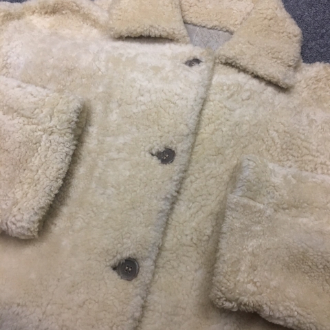 入荷_190118_0218.jpg