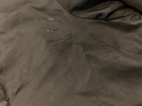 20190225_190225_0013.jpg