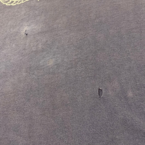 20190425_190425_0031.jpg