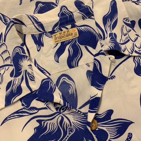 20190512_190512_0031.jpg