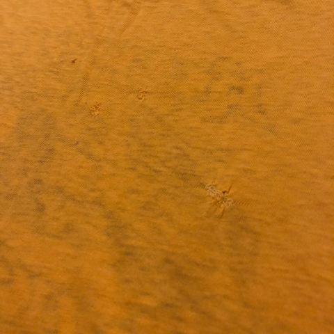 20190721_190721_0032.jpg