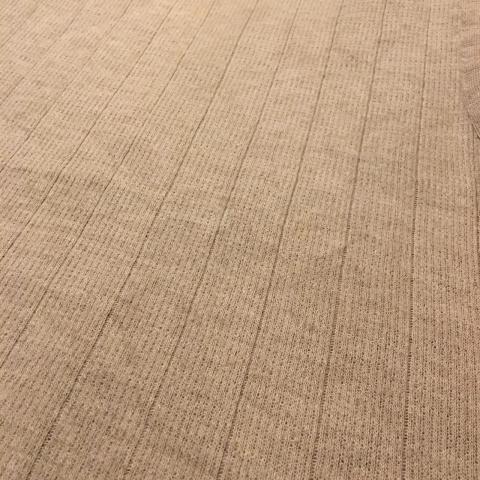 小笠原_190825_0003.jpg
