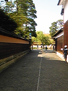 Image105.jpg