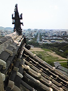 Image103.jpg