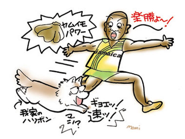 ハリボン対ボルト!!