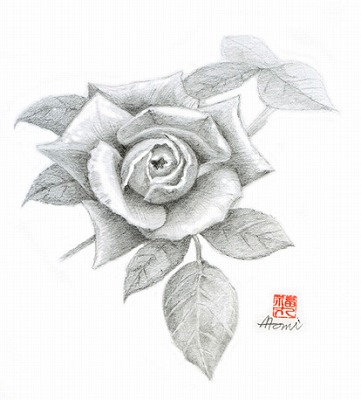薔薇ロイヤルサンセット