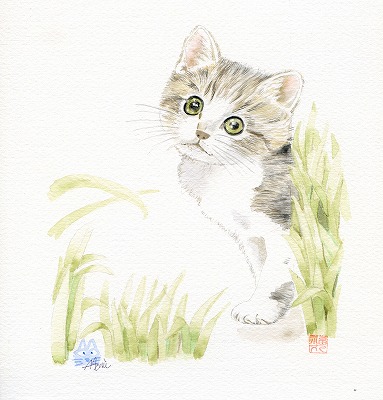 仔猫201205