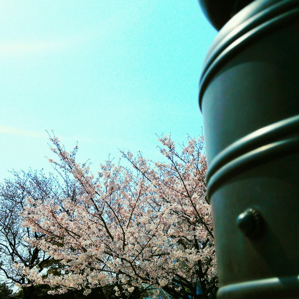 4月5日.jpg