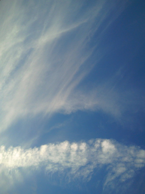 NEC_0781.jpg