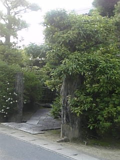 西日にけむる