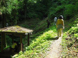 山村みたいね