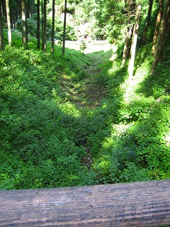 緑があざやか