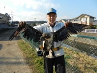 今季初カワウ