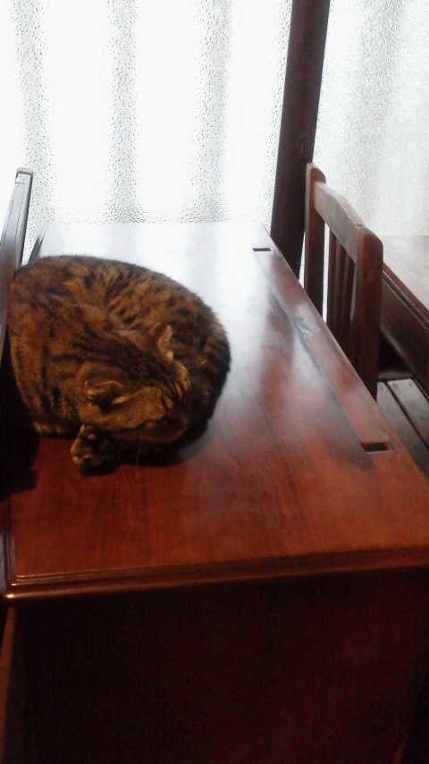 2012070413460000.jpg