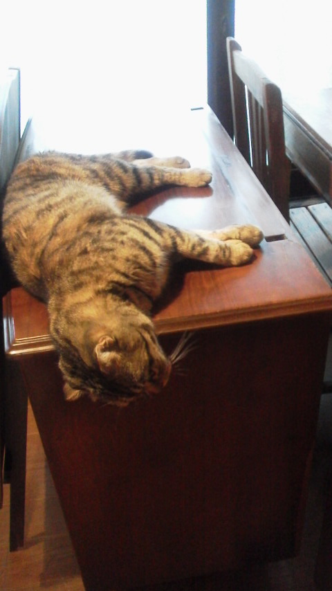 2012070413430000.jpg