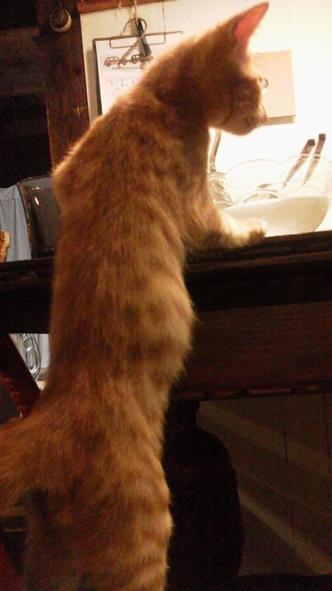 2012072819230000.jpg