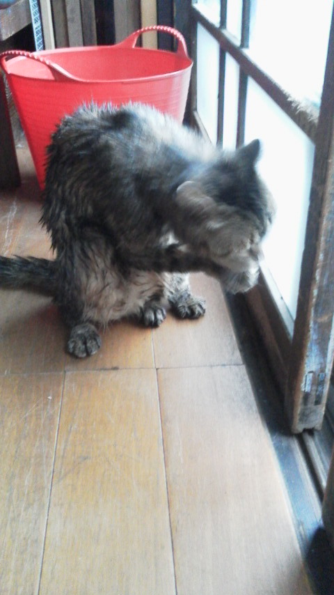 2012081617370000.jpg