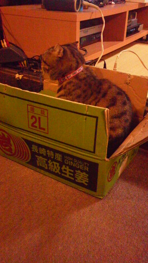 2012100522120000.jpg