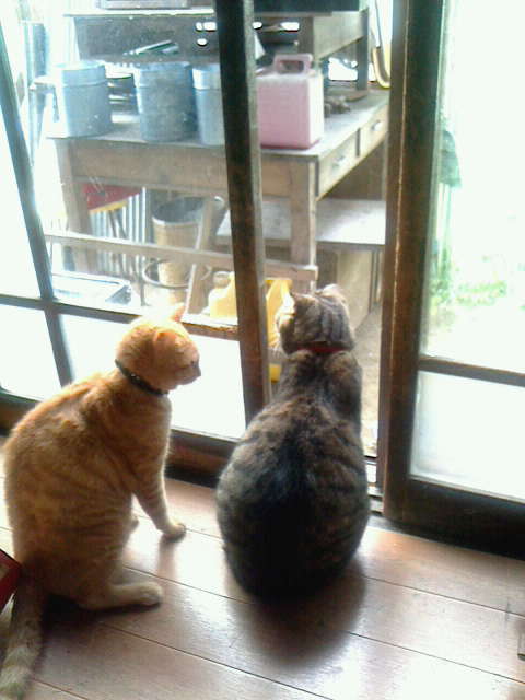 2013060507330000.jpg
