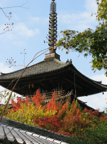 kihou2