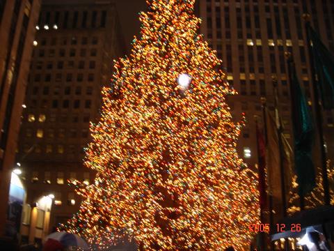 christmas tree