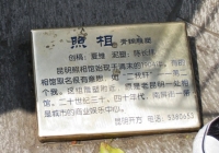 昆明研修