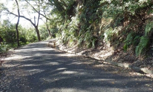 山めし 遠足