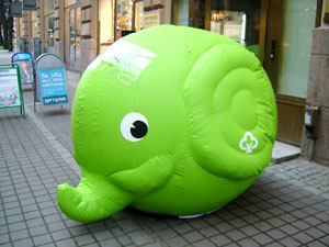 Nooa Elephant Bank?