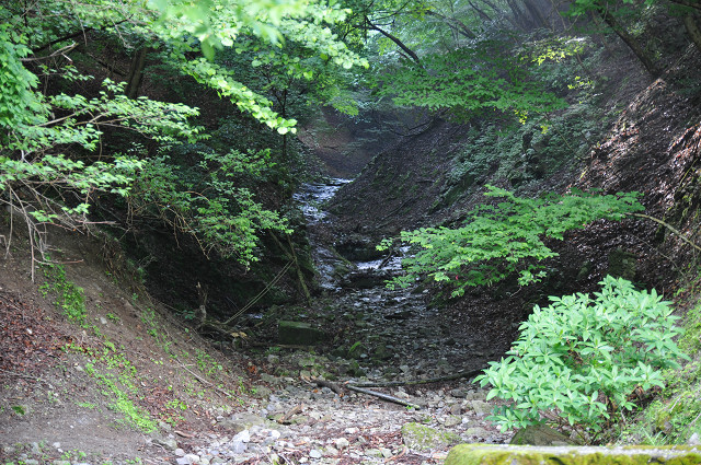 resize0055.jpg