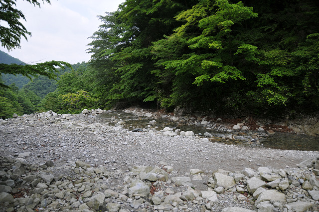 resize0058.jpg