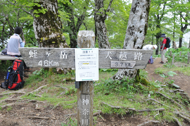 resize0073.jpg