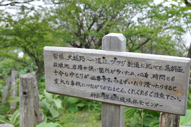resize0074.jpg