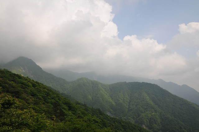 resize0084.jpg